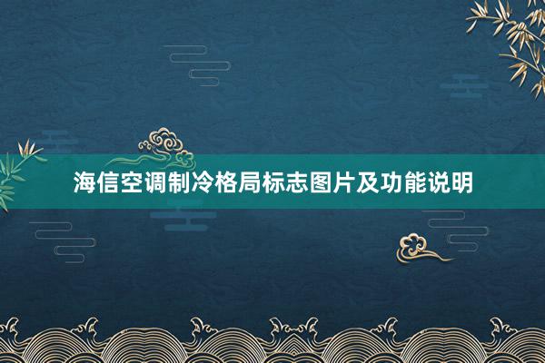 海信空调制冷格局标志图片及功能说明